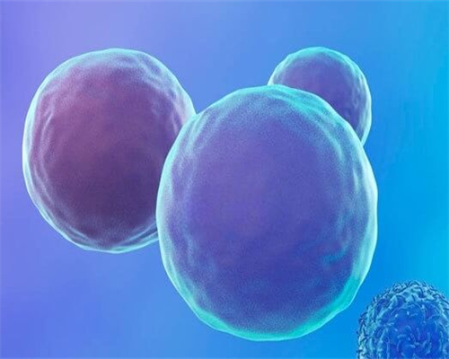 细说做试管代生助孕机构适合移植囊胚的四类人！真相究竟如何！