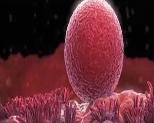 子宫内膜薄可以怀孕吗？几率大不大？