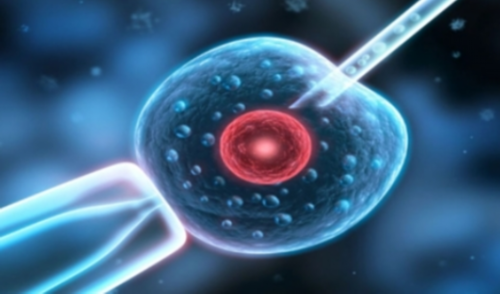 昆明爱维艾夫医院介绍，试管婴儿选性别能做到吗?