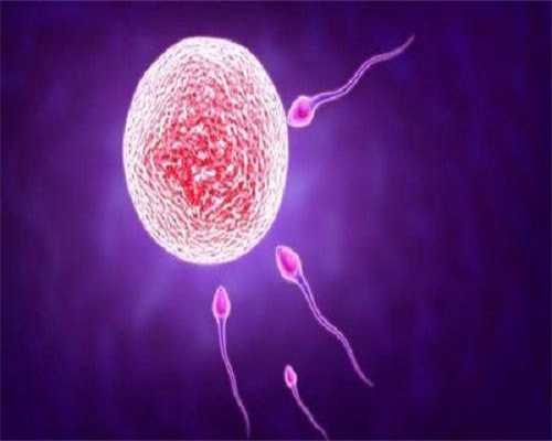 代孕成功几率：2026年云南第三代试管婴儿医院排名哪家强？附云南试管医院费用成功率