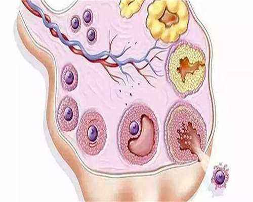 昆明羊水穿刺有补贴！选对医生昆华医院做一次费用也不高