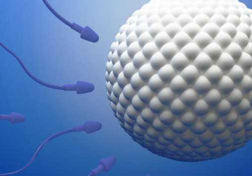 哪里可以做二代试管婴儿