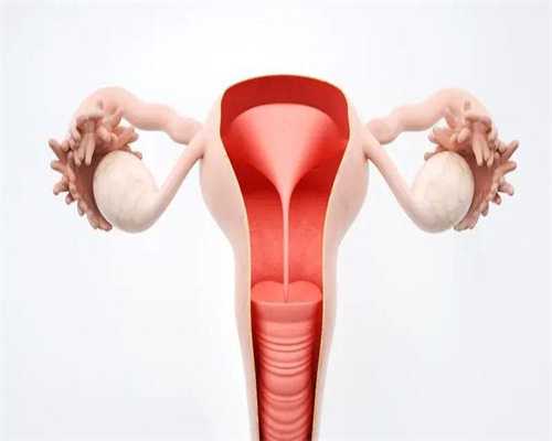 试管代生哪最好_试管代孕哪家做,热敷腹部会不会影响受孕，温度合适能提高着