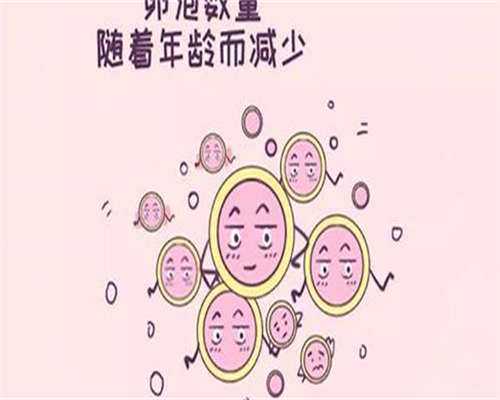 代生包男孩移植囊胚停育几率？代生包男孩移植囊胚停育几率高吗？