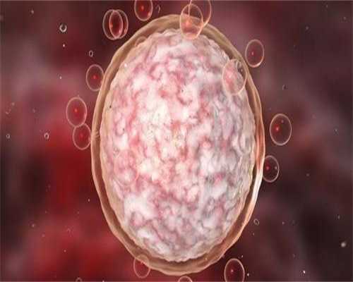 试管过程和费用-试管每个步骤的费用