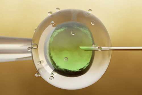 三代试管婴儿手术费用，三代试管婴儿手术费用是多少