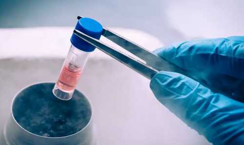 试管婴儿多少钱大理附属医院？大理大学附属医院试管技术怎么样