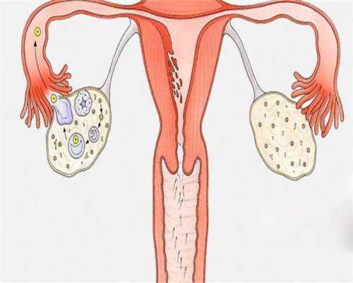 试管检查后多久开始做？试管检查后多久开始做检查？