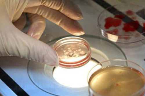 昆明试管婴儿谁家医院好?