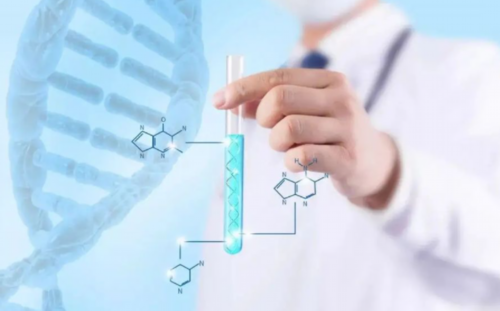 试管要检查后做什么？试管要检查后做什么检查？