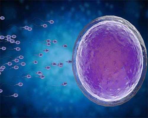 包性别包成功_供卵代怀包生男女,
              女性备孕期间补充哪些微量元素容