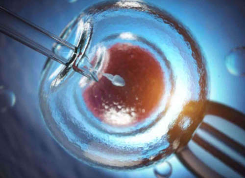 到泰国做代生费用排名费用一次多少钱！附3代代生费用排名流程！