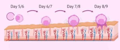 60万包男孩包成功, 多囊卵巢备孕迟迟怀不上(符合这3个条件可以找试管帮忙)