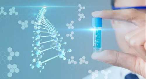 做一次试管大概要花多少钱费用