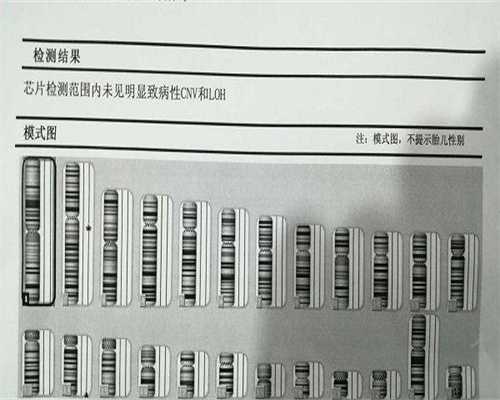 江苏省43岁做三代供卵试管代生价格分享，成功率高不高一次说清