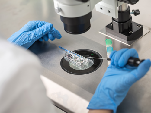 试管取卵后胀气和腹水有3点区别