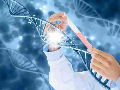 云南昆明现在试管婴儿需多少费用？