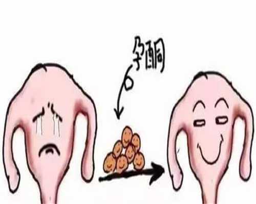 建议工资按比例缴生育基金你想试管二胎吗，内附价格说明！