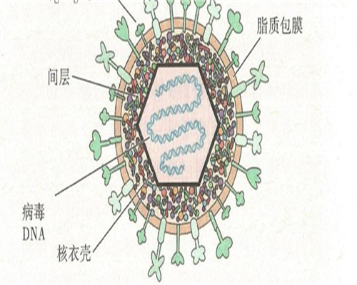 国内供卵代生医院_代孕公司哪个正规,什么时候去做试管最合适？