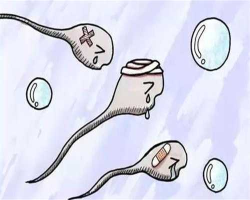 靠谱供卵代生鲜胚和冻胚哪个好？靠谱供卵代生冻胚的价格多少