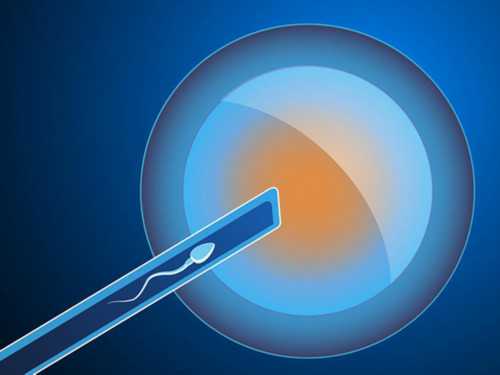 试管囊胚质量分级怎么看？哪个级别好