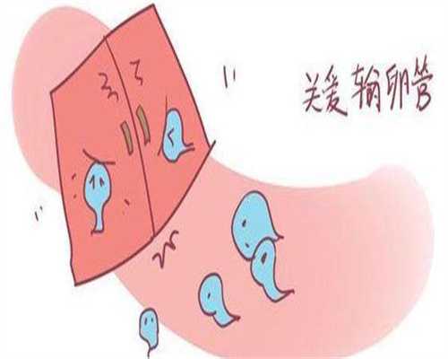 做试管婴儿输卵管堵能做吗 输卵管堵塞做试管婴儿有影响吗