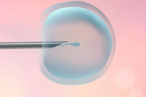 闭经和绝经的区别是什么（产后月经量多怎么办）