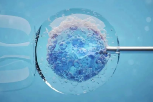 昆明做试管代怀,在昆明公立*殖医院做试管婴儿费用*干的价格是多少