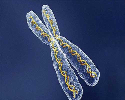 代孕供卵费用：消息!昆明地下试管三代靠谱吗?