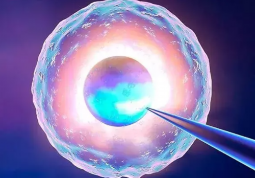 昆明的试管婴儿费用平均在多少钱左右