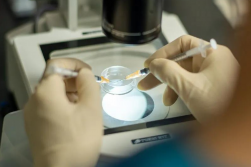 昆明供卵不排队的公立医院？附昆明供卵第三代试管婴儿医院详情